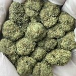 Dior Runtz THCa