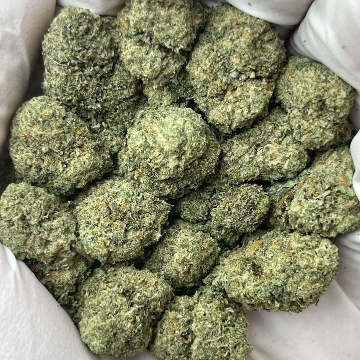 Dior Runtz THCa