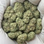Oreo Breath THCa