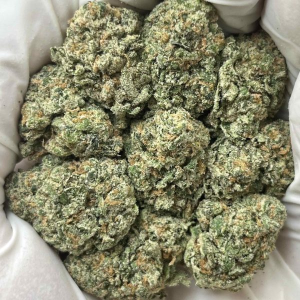 Candy Zeclair - Indoor