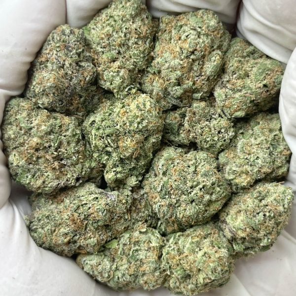 Cheddar Cheese - Indoor