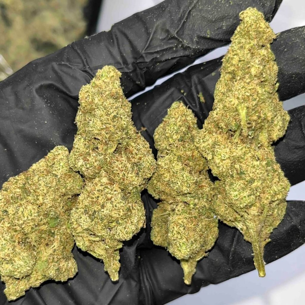Jifflez THCa