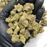 Mixed Buds THCa