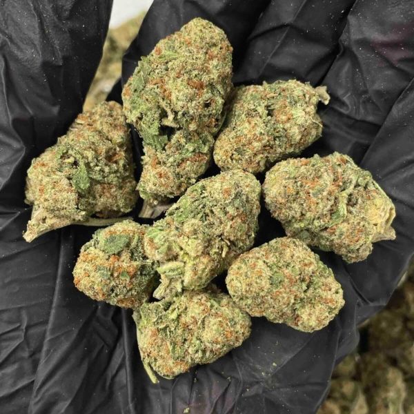 Passion Fruit THCa