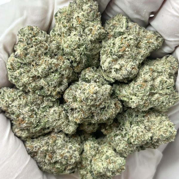 Splash THCa Indoor