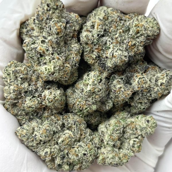 White Rhino THCa Indoor