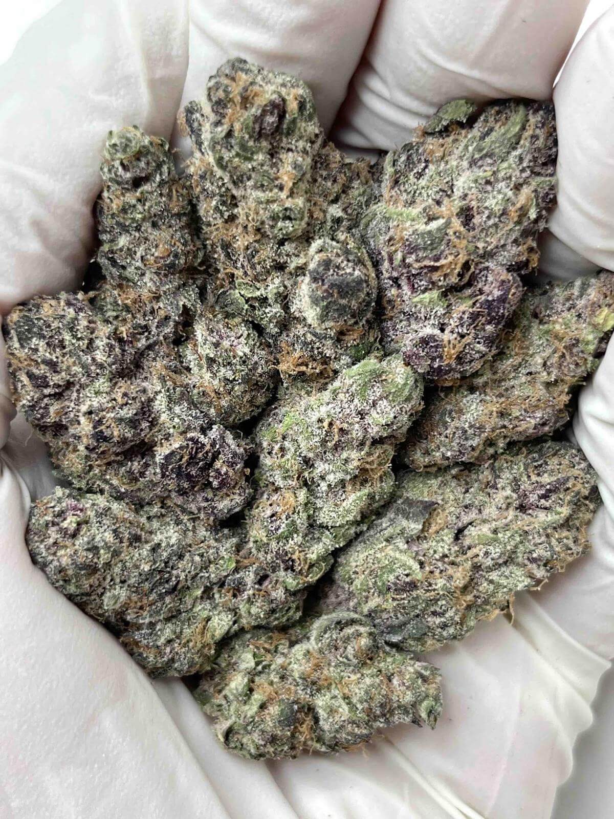 Blockberry THCa Indoor Blockberry THCa Indoor