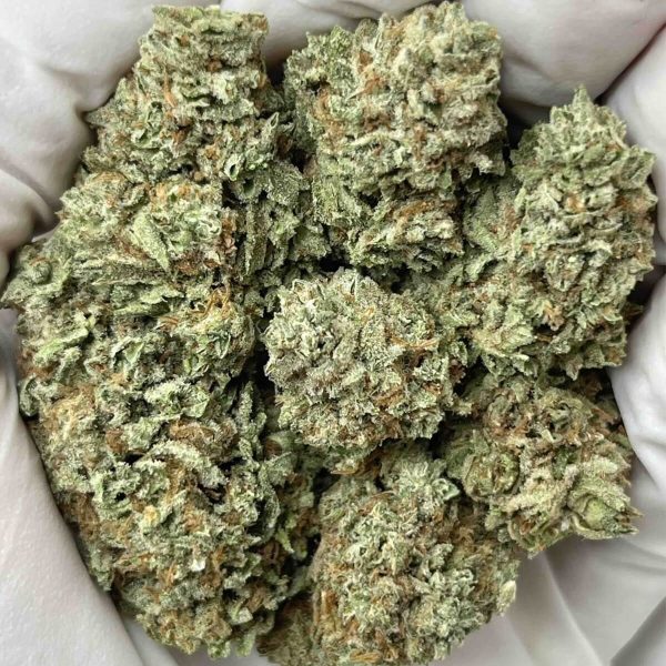 Gelato King THCa