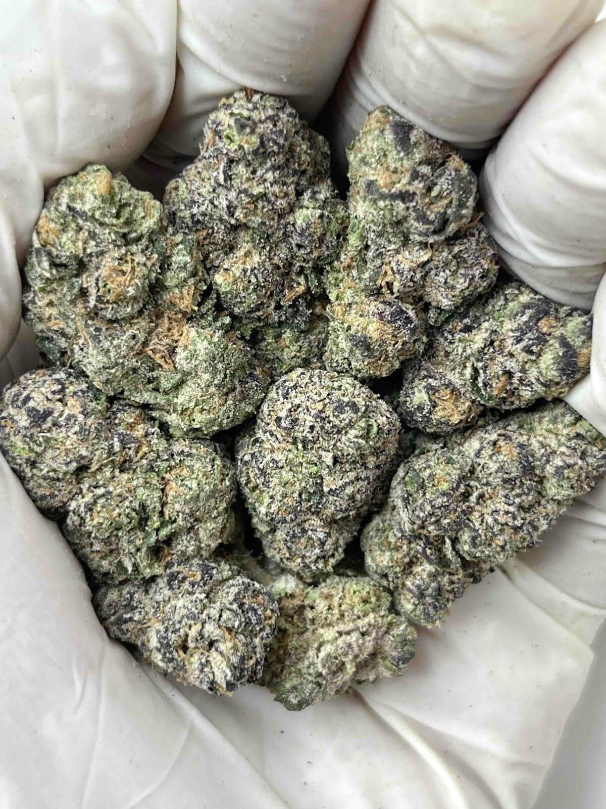 Skittz Burn THCa Indoor Skittz Burn THCa Indoor