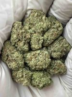 Mimosa THCa