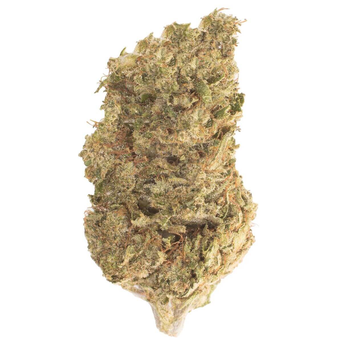 Sugar Cookiez CBD Sugar Cookiez CBD