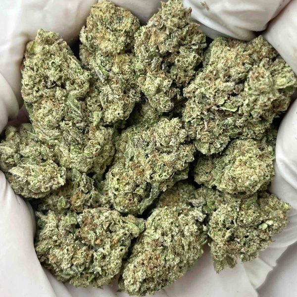 Sugar Tartz THCa
