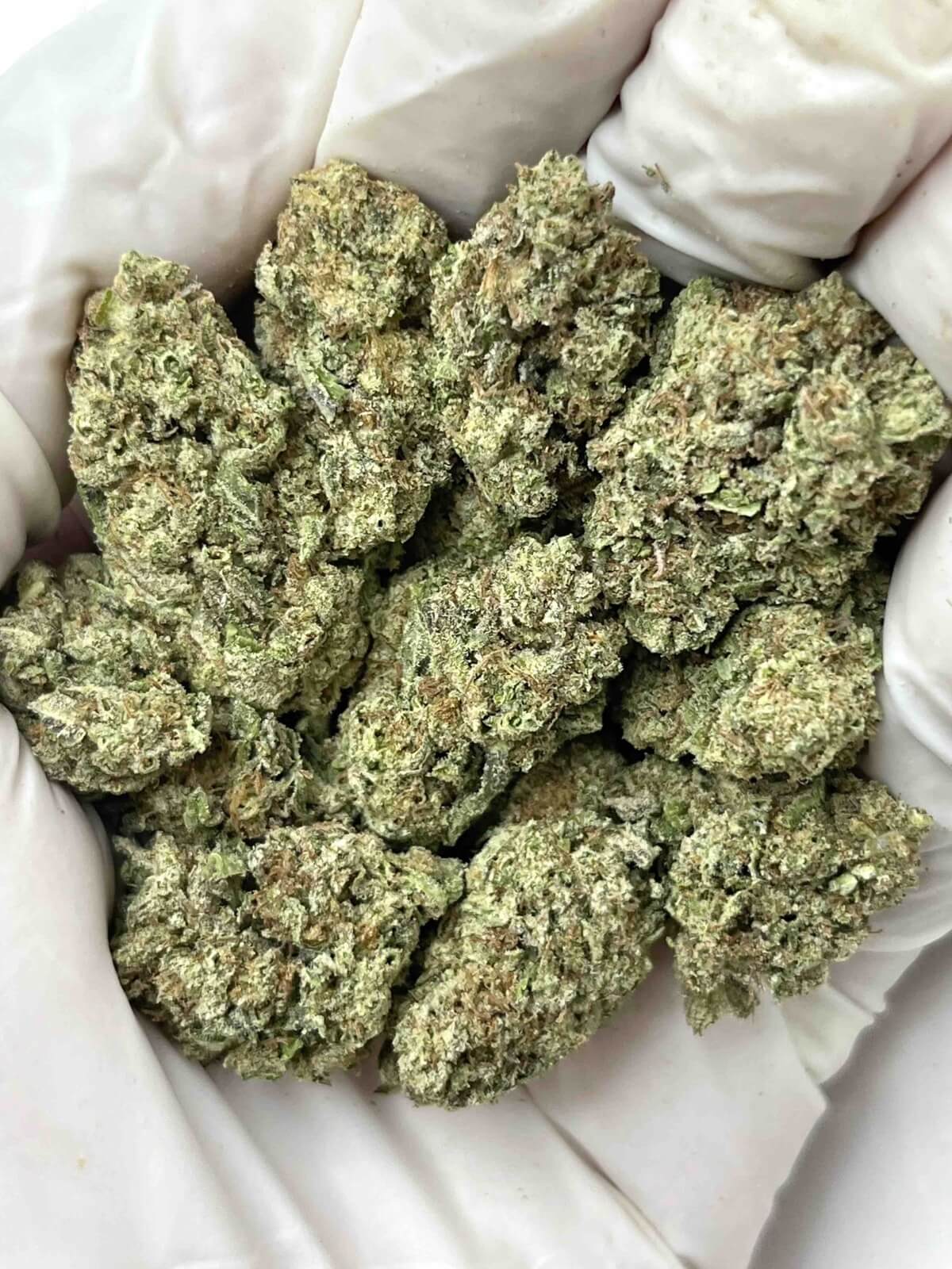 Sugar Tartz THCa Sugar Tartz THCa