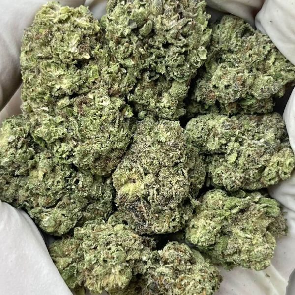Purple Candy THCa