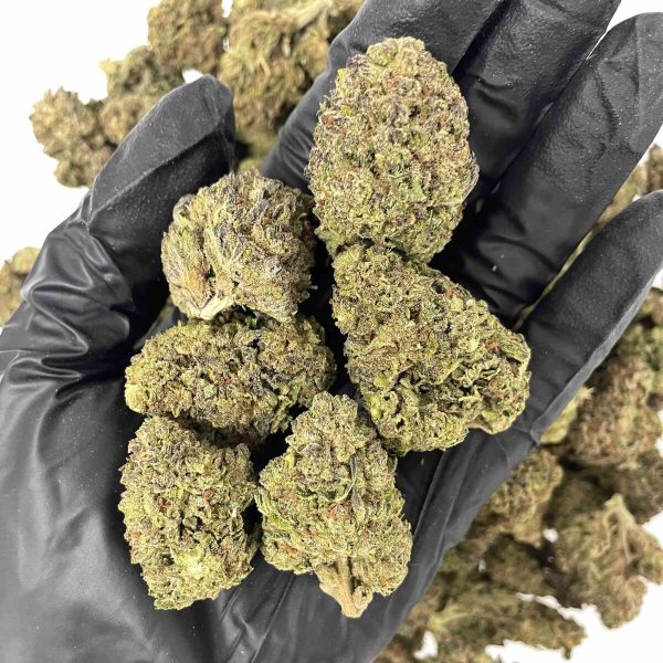 Gelato #41 THCa