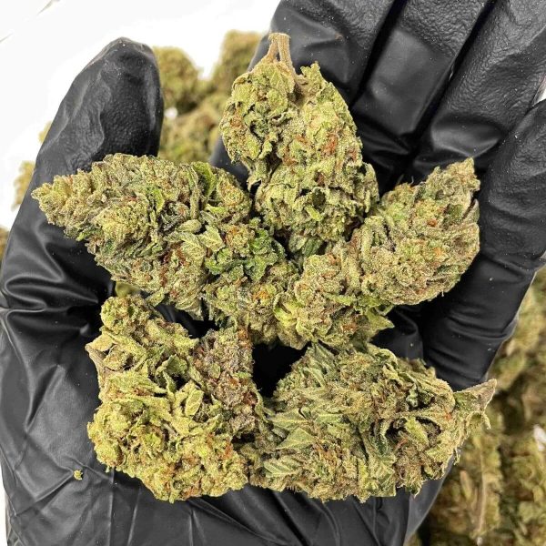 Grease Monkey THCa